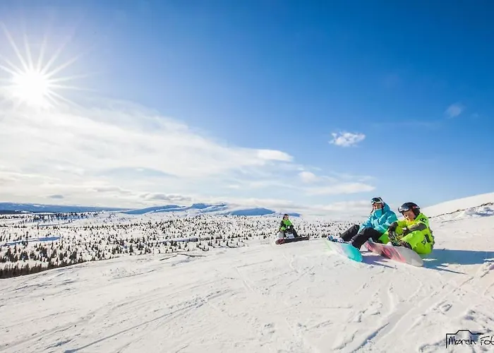 Helt ny, flott fritidsleilighet i Bualie på Golsfjellet