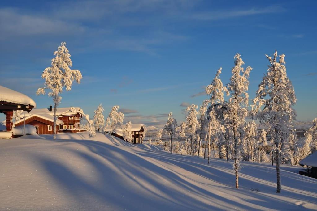 Leilighet Helt Ny, Flott Fritidsleilighet I Bualie På Golsfjellet *