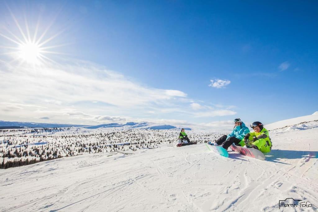 Flott Fritidsleilighet I Bualie Pa Golsfjellet Gol