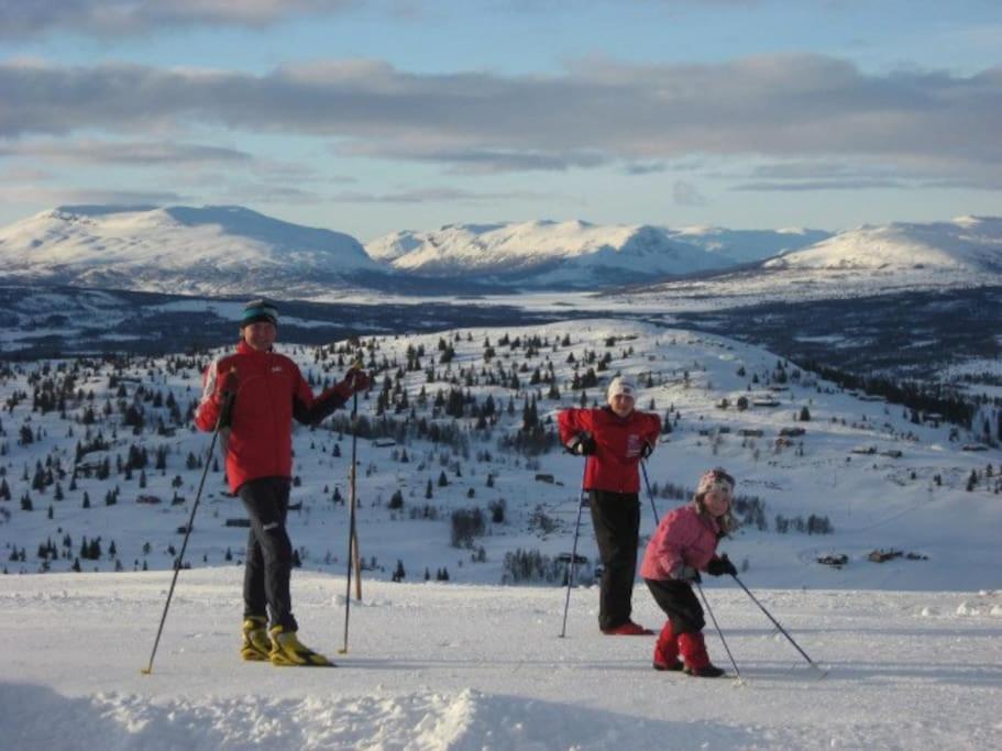 Helt Ny, Flott Fritidsleilighet I Bualie På Golsfjellet *