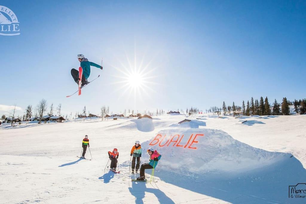 Appartamento Flott Fritidsleilighet I Bualie Pa Golsfjellet Gol