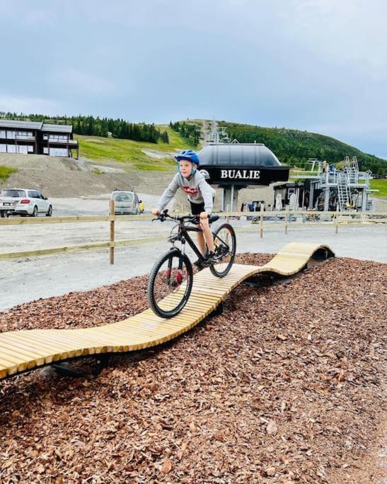 Appartamento Flott Fritidsleilighet I Bualie Pa Golsfjellet *
